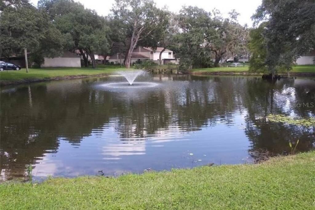 Cozy 3 Bed 2.5 Bath Located Near Busch Gardens Apartamento Tampa Exterior foto